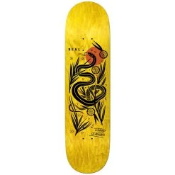 Real - Jimmy Wilkins Mudgett 8.86 Skateboard Deck